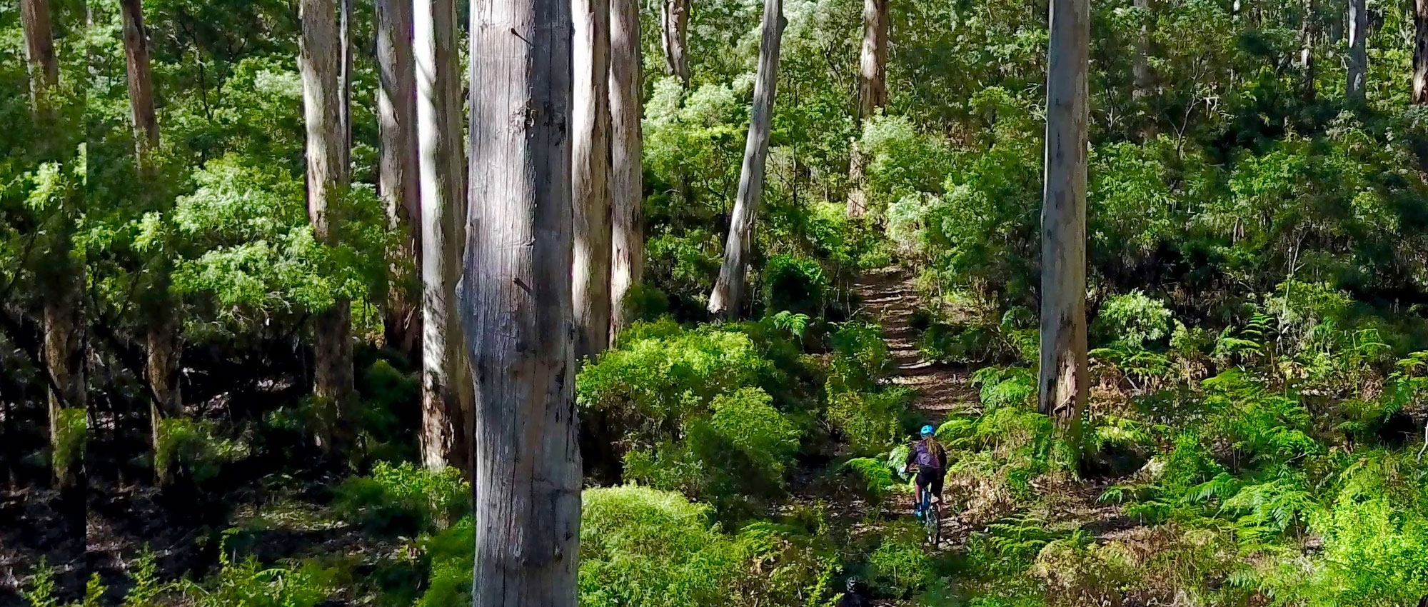 Margaret River Mountain Bike Tours